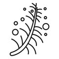 Essential oils plant icon, outline style