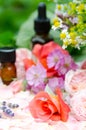 Essential oils with roses and herbs Royalty Free Stock Photo