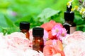 Essential oils with roses and herbs Royalty Free Stock Photo