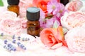 Essential oils with roses and lavender Royalty Free Stock Photo