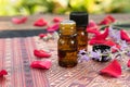 Essential oils with roses and lavender Royalty Free Stock Photo