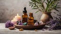 Essential Oils Setup with Natural Elements and Decor Royalty Free Stock Photo