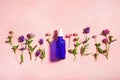 Essential oils, summer wild medical flowers and herbs. alternative medicine Royalty Free Stock Photo