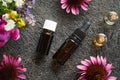 Essential oils and tinctures with echinacea flowers Royalty Free Stock Photo