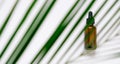 Essential oils on white background with palm leaves, mockup. Cosmetic medical beauty product in brown glass bottles with a pipette