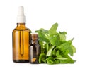 Essential peppermint oil in brown glass bottles and green fresh mint leaf on branch isolated on white background. Aromatherapy and Royalty Free Stock Photo