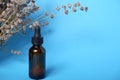 Essential serum oil in amber dropper bottle. Serum glass bottle with pipette on blue background. Natural organic liquid medicine Royalty Free Stock Photo