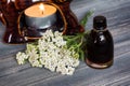 Essential yarrow oil