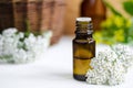 Essential yarrow oil Royalty Free Stock Photo