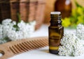 Essential yarrow oil Royalty Free Stock Photo