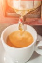 Esspresso coffee cup Royalty Free Stock Photo