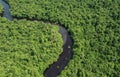 Establishing aerial photo of boat traveling down a river through the jungle in the Orinoco Delta, Venezuela, South America. Sunny