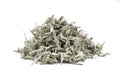 Estafiate dried herb, Artemisia ludoviciana Royalty Free Stock Photo