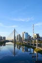 Estaiada Bridge Sao Paulo