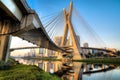 Estaiada Bridge - Sao Paulo - Brazil Royalty Free Stock Photo