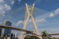 Estaiada Bridge Sao Paulo