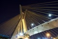 Estaiada Bridge Sao Paulo Royalty Free Stock Photo