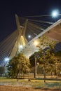 Estaiada Bridge Sao Paulo Royalty Free Stock Photo