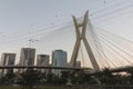 Estaiada bridge, Sao Paulo, SP, Brazil Royalty Free Stock Photo