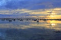 Estany des peix sunset lake Formentera Royalty Free Stock Photo