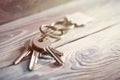 Estate concept, Key ring and keys on wooden background Royalty Free Stock Photo