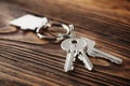 Estate concept, Key ring and keys on wooden background Royalty Free Stock Photo