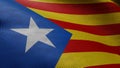 Estelada waving flag background. Royalty Free Stock Photo