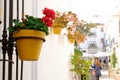 Estepona street with colorful red geranium pelargonium in yellow plantpot