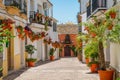 The beautiful Estepona, little and flowery town in the province of Malaga, Spain. Royalty Free Stock Photo