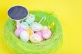 Ester eggs in green nest with copy-space board Royalty Free Stock Photo