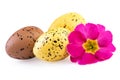 Ester Eggs Isolated Clipping Path Included Royalty Free Stock Photo