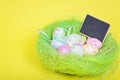 Ester eggs in nest with copy-space blackboard Royalty Free Stock Photo