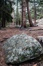 Estes Park Colorado Rocky Mountain Forest Landscape Royalty Free Stock Photo