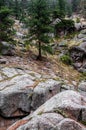 Estes Park Colorado Rocky Mountain Forest Landscape Royalty Free Stock Photo