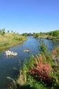 Esther Simplot Pond ducks on driftwood in Boise Idaho landscape vertical