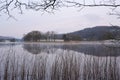 Esthwaite in winter Royalty Free Stock Photo