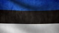 Estonia flag