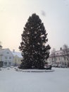 Estonia saaremaa christmas tree