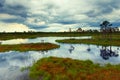 Estonian bog