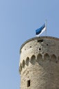 Estonian flag on Tall Hermann Royalty Free Stock Photo