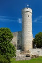 Estonian flag on Tall Hermann Tower on Toompea Hill in the Old Town of Tallinn, Estonia Royalty Free Stock Photo