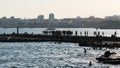 Crowded sandy Tamariz beach in Estoril near Lisbon, Portugal during the summer Royalty Free Stock Photo