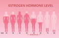 Estrogen hormone levels chart, menopause, vector