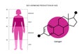 Testosterone estrogen level