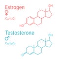 Estrogen and testosteron hormones vector chemical formulas