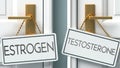 Estrogen and testosterone as a choice - pictured as words Estrogen, testosterone on doors to show that Estrogen and testosterone