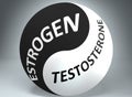 Estrogen and testosterone in balance - pictured as words Estrogen, testosterone and yin yang symbol, to show harmony between