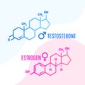 Estrogen and testosterone hormones molecular formula with liquid fluid shapes on white background. Vector illustration