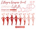 Estrogen Woman Infographic Royalty Free Stock Photo