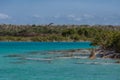 Estromatolitos in the Bacalar lagoon Royalty Free Stock Photo